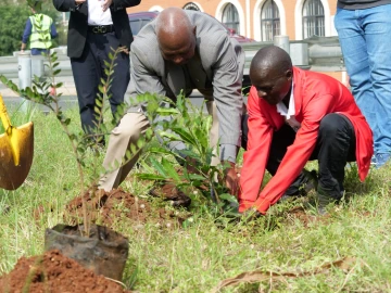 Nairobi City Marathon pairs air sensors with 5,000-tree legacy plan