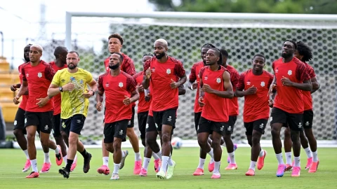 Diaspora backs DR Congo amid ebola-driven World Cup fan shortage