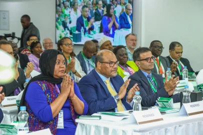 Human development should begin with a child's brain - Experts