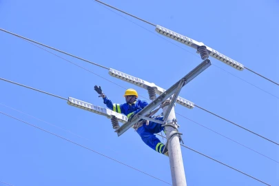 Kenya Power partners with US firm to prevent wildlife electrocution along power lines