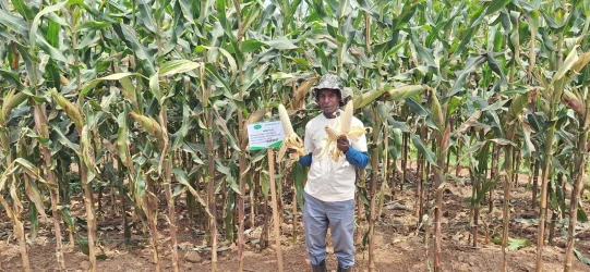 Technology remains the key lever for empowering farmers and transforming agriculture in Africa