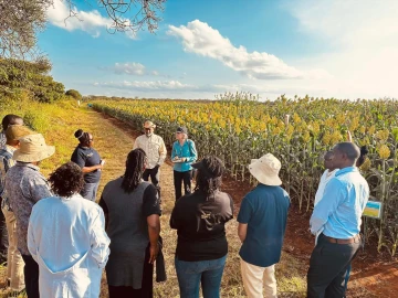 Why research must drive Kenya’s economic transformation, food security through science-led agriculture