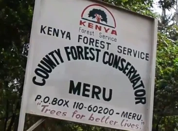 KFS invites public views on proposed airstrip in Meru forest