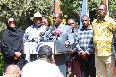 'Economic abduction!' Opposition to appeal court ruling clearing Safaricom stake sale to Vodacom
