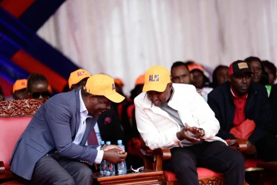 ODM leaders claim Uhuru using Linda Mwananchi group to divide party
