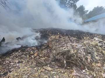 Kiambu: Muguga residents raise alarm over toxic smoke from industrial waste