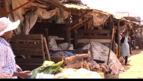 'Watermelon is now like gold': Kirinyaga traders hit by worst shortage in years