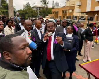 LSK leads nationwide protests over deaths of two advocates
