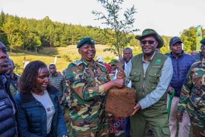 Kaptagat Forest restoration complete as PS Chris Kiptoo unveils next conservation phase