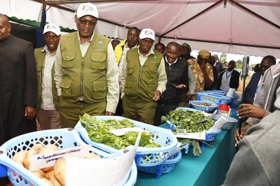 Uasin Gishu: Gov't irrigation scheme to generate Ksh.70M annually, benefit over 700 households
