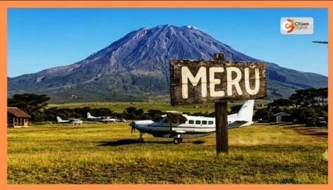 Construction begins on Imenti Forest airstrip despite court orders