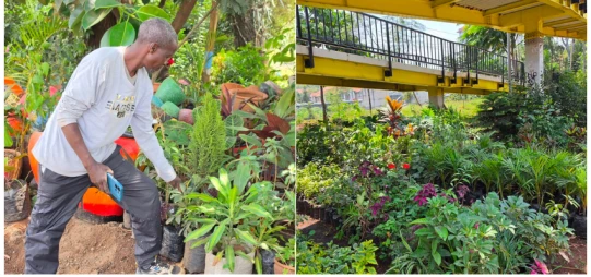 Roadside flower vendors speak of uncertain sales and daily struggles