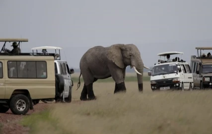 'We are safe!' Kenya Tourism Federation reassures after Gachagua's warning to tourists 