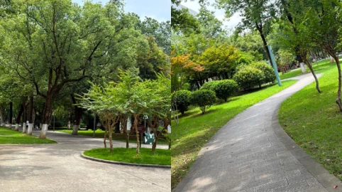 Nature vs modernity: My adventure in China's public green spaces