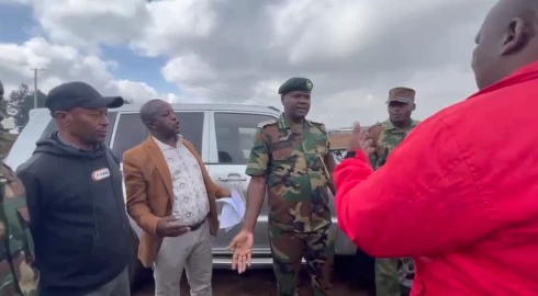 Kiambu Sawmillers petition Ruto over 'predetermined' timber auction