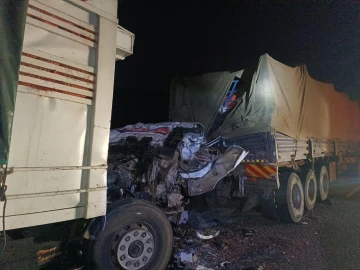 Five dead as two trucks collide on Marsabit–Isiolo Road