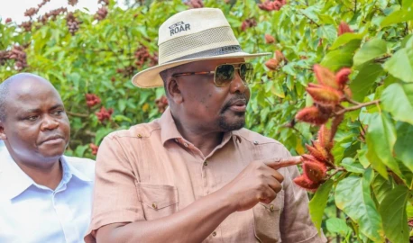 CS Kagwe reveals plan to double Kenya's bixa production, create more jobs at the Coast