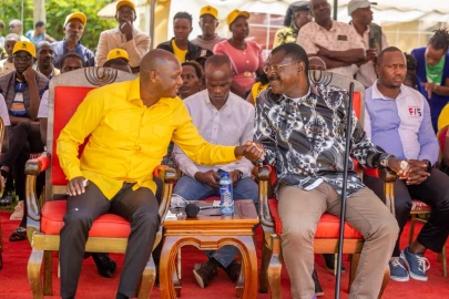 Broad-based leaders rally behind Ruto's Vision 2060, dismiss opposition criticism