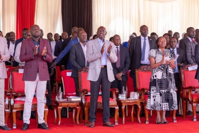 Ruto promises cheaper fertiliser to boost food production after crop failure