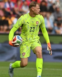 Newcastle sign goalkeeper Hornicek from Braga