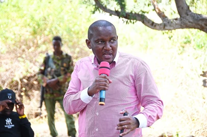 Construction of 5km dyke between lakes Bogoria, Baringo to create 100K jobs, generate Ksh.40B