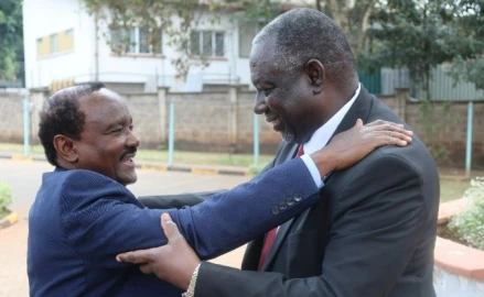 Kalonzo urges Sudan gov't to lift ban on Kenya's imports