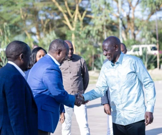 There has been accelerated development since ODM joined gov't - Ruto