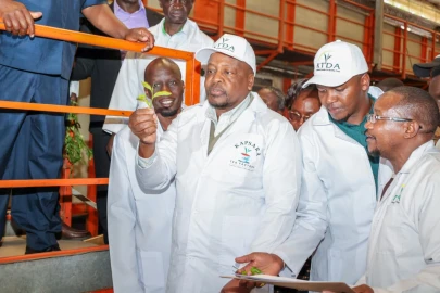 CS Kagwe orders tea factories to reject low-quality green leaf as Kenya targets more profits