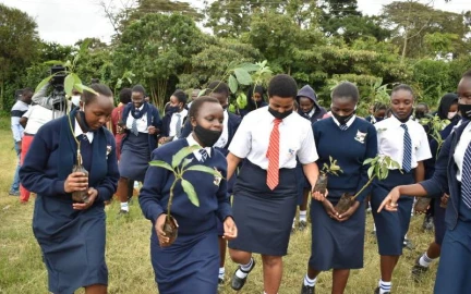 Fruity Schools Africa : Kenyan initiative feted for planting fruit trees in schools, promoting climate action