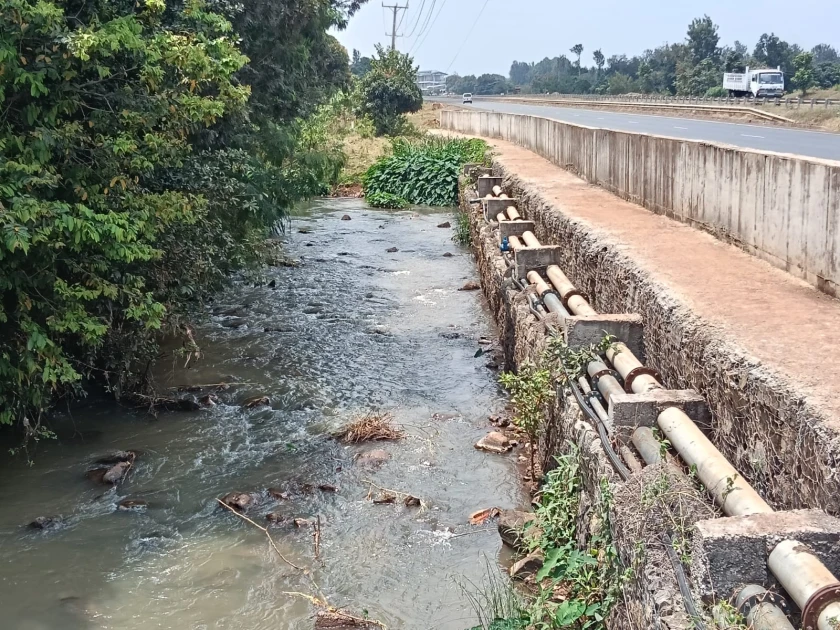 Alarm in Kirinyaga as four bodies retrieved in River Ragati over last two months