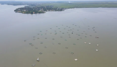Rescuing Lake Victoria: How the aquaculture revolution is restocking the blue economy