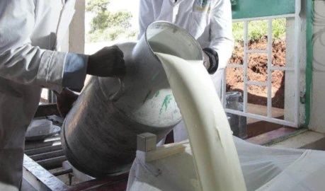Milk shortage hits Kenya as deliveries fall, prices rise