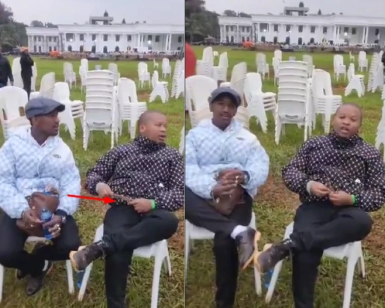 'Alele Mtoto!' State House decorum under fire as viral video shows ...