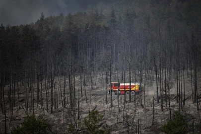 Wildfires, heatwaves endanger air quality, health: UN