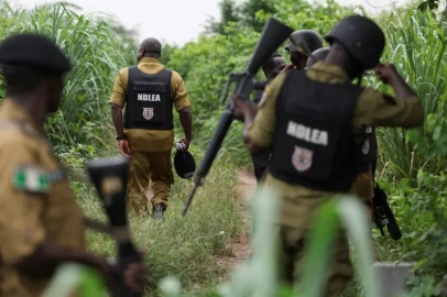 Gunmen kill 10, kidnap 40 in northwest Nigeria: security report