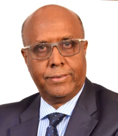 Ahmedfiqi hits the ground as Somalia’s 2027 presidential polls take shape