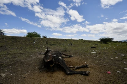 Dead animals, barren fields, and hunger - El Nino chokes Central America