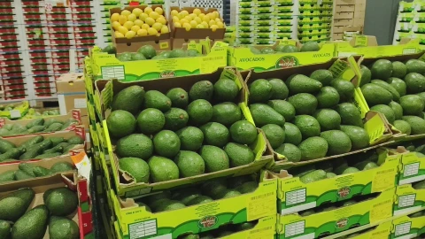 Horticulture sector to convene in Nairobi to address trade and logistics barriers