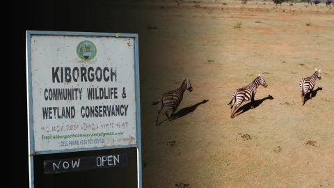 Baringo community turns 2,000 acres into a shared haven for wildlife and livestock