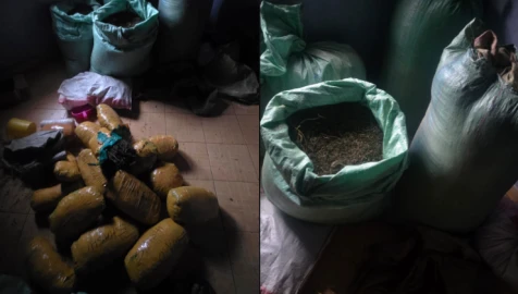 Two Ugandan teenagers, suspected dealer arrested in Ksh.5M Ruai bhang bust