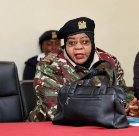 Kirinyaga commissioner vows to shut bars hosting naked dancers