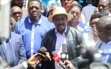 Kalonzo welcomes Dangote's oil refinery project but warns against 'shady' deals 