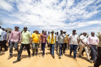 Kenya Kwanza allies mock Constitution, call for Ruto-only ballot