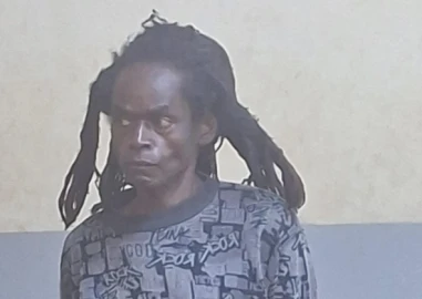 Man jailed for 1 year after confessing to bhang cultivation in Eldoret