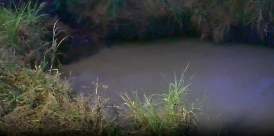 Family suspects foul play after three children are found dead in Gatanga dam