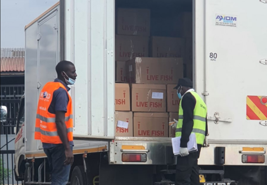 Two Chinese nationals arrested at JKIA attempting to export live crabs worth Ksh.1.2M