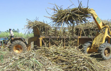 Reprieve for farmers as court blocks Sugar Board from closing milling operations in Western 