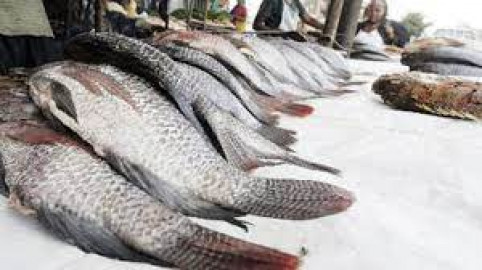 Nyandarua residents mull fish farming as returns from potatoes, dairy ...