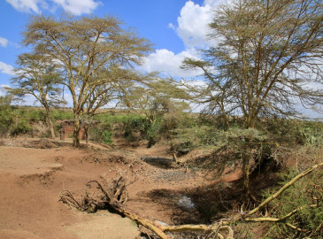 OPINION: The ‘Lie’ of Climate Change in Kenya - Boardroom talk vs reality